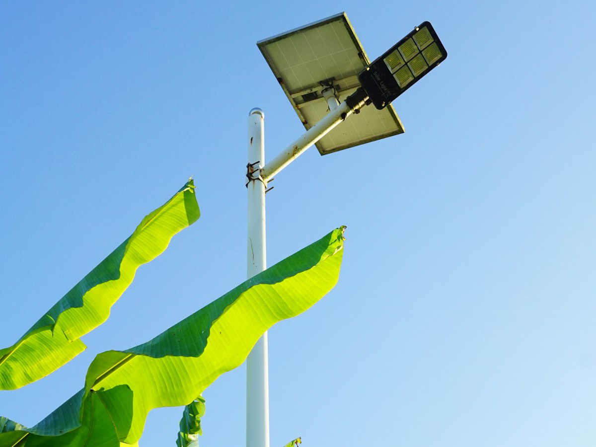 Solar street light above banana plants